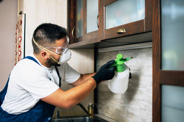 Best Affordable Pest Control Services  in West Portsmouth, OH