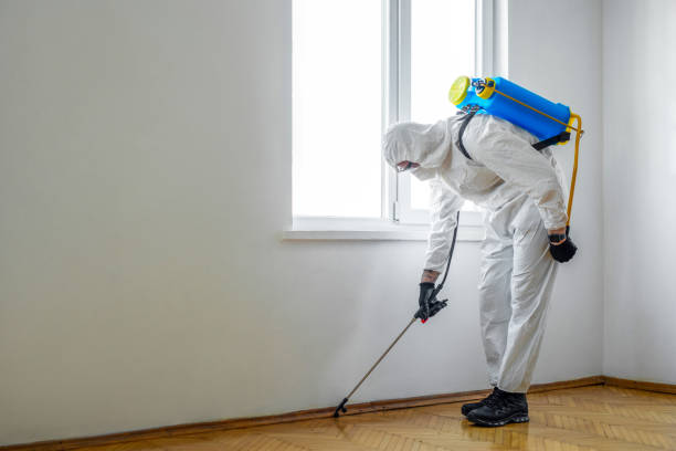 Reliable West Portsmouth, OH Pest Control Solutions