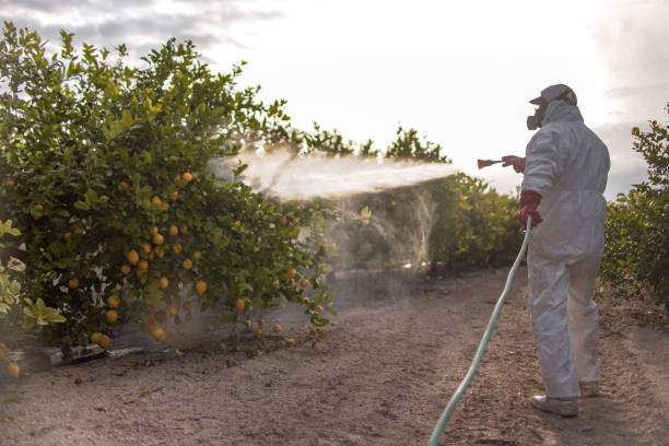 Professional Pest Control in West Portsmouth, OH