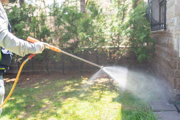 Best Affordable Pest Control Services  in West Portsmouth, OH