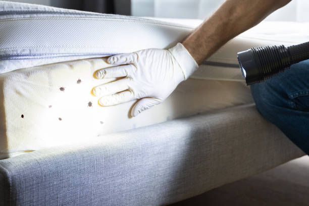 Best Residential Pest Control  in West Portsmouth, OH