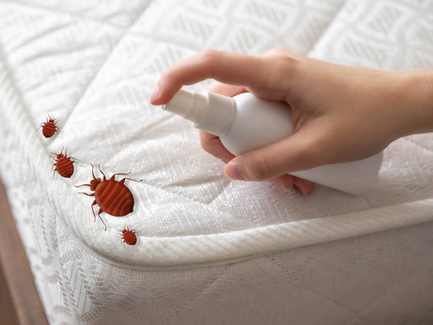Best Pest Prevention Services  in West Portsmouth, OH