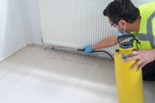 Best Local Pest Control Services  in West Portsmouth, OH