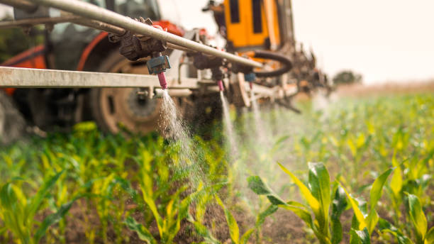 Best Commercial Pest Control Services  in West Portsmouth, OH